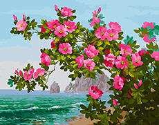 해변의 꽃 [캔버스형] [보석십자수]