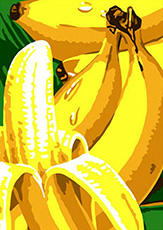 바나나 [캔버스형] [보석십자수]